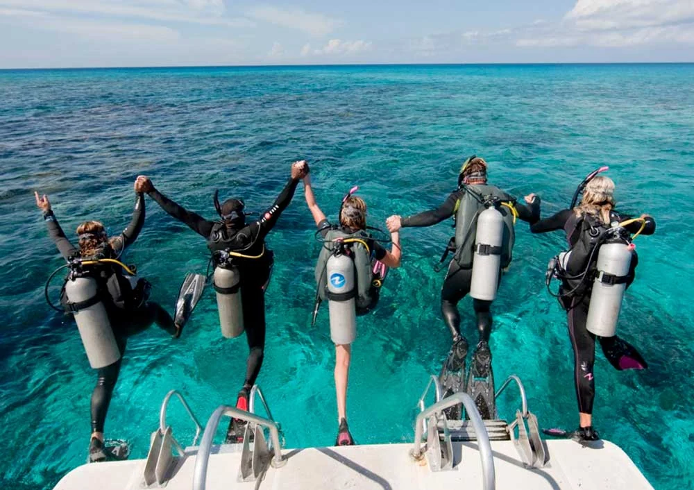 Buceo en Isla Catalina - 1