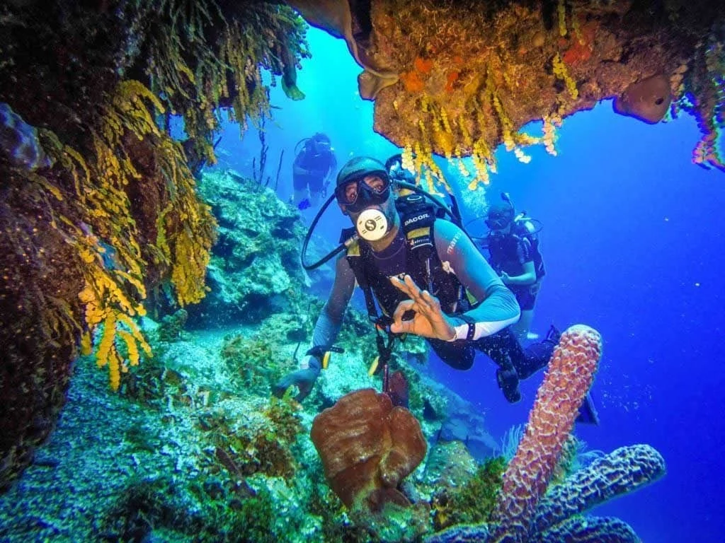 Buceo en Isla Catalina - 6