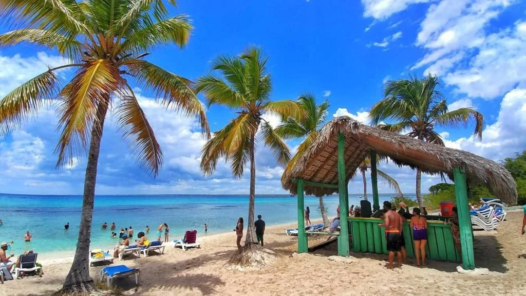 Isla Catalina - 8