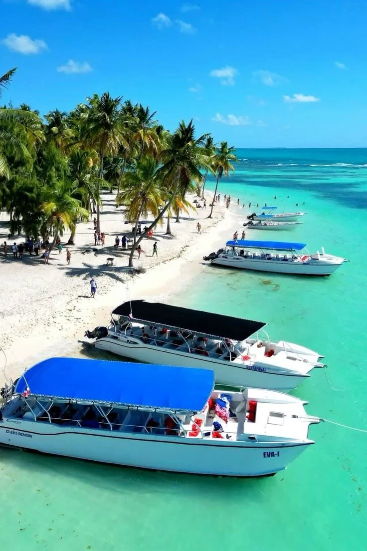 Isla Saona VIP Cuatro Playas - 2