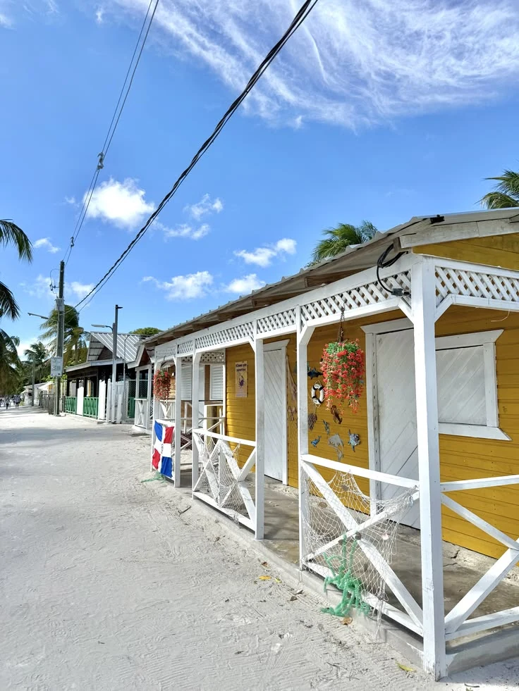 Isla Saona VIP Cuatro Playas - 4