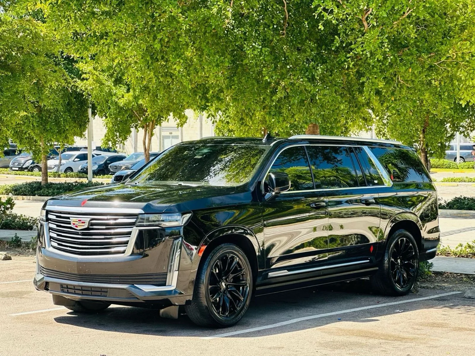 Transporte privado VIP SUV